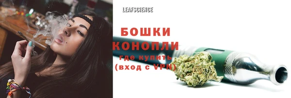 спиды Аркадак