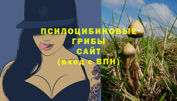 спиды Аркадак