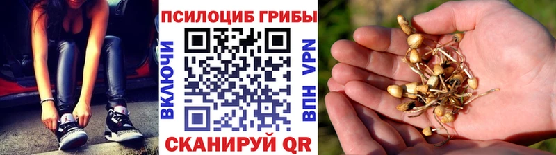 Псилоцибиновые грибы Cubensis  мега онион  Сасово 